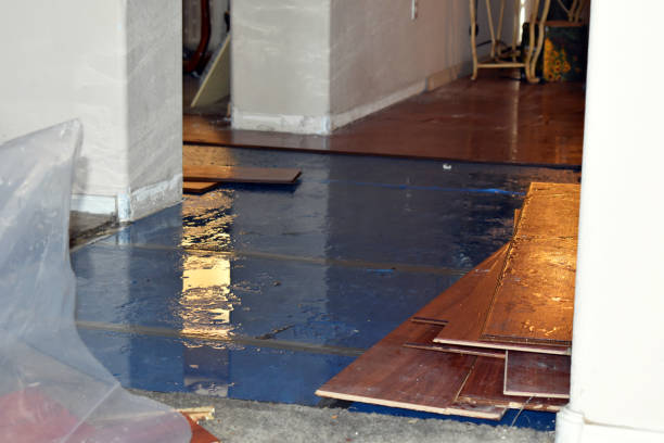 Professional Water Damage Restoration technician working in Osgood, OH